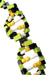 Lego DNA